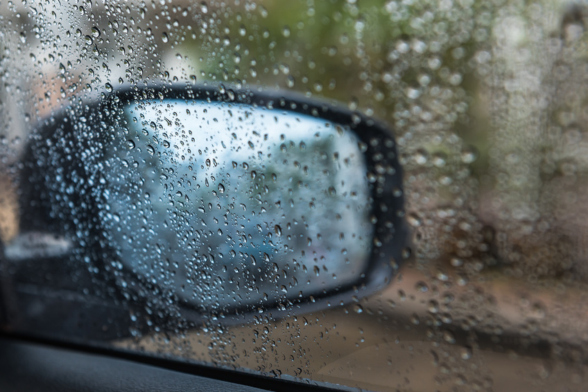 Découverte d'une voiture en décomposition dans la moisissure dans